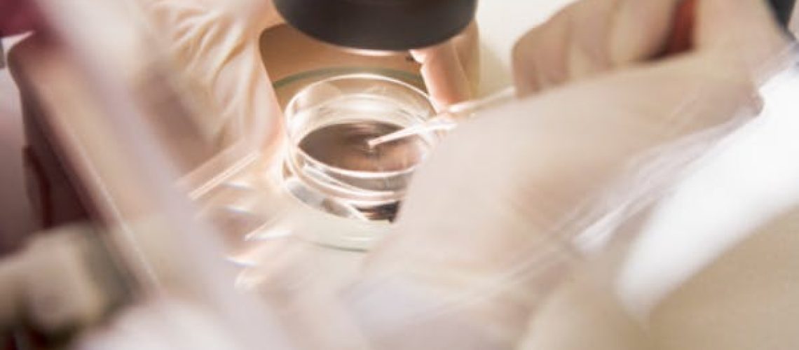 Mieux connaître le don d'ovocytes en France